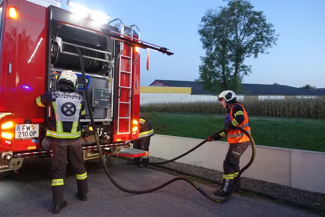 Foto: Markus Wessely