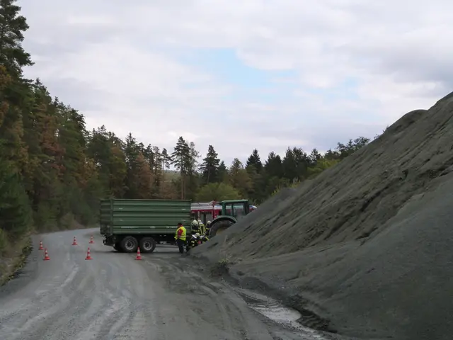 Foto: Vanessa Wittmann