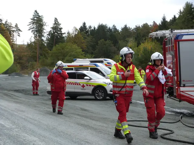 Foto: Vanessa Wittmann