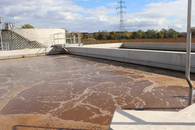 Hier leisten die gefräßigen Helfer ganze Arbeit. Aus dem Abwasser wird sauberes Wasser. | Foto: Edith Ertl