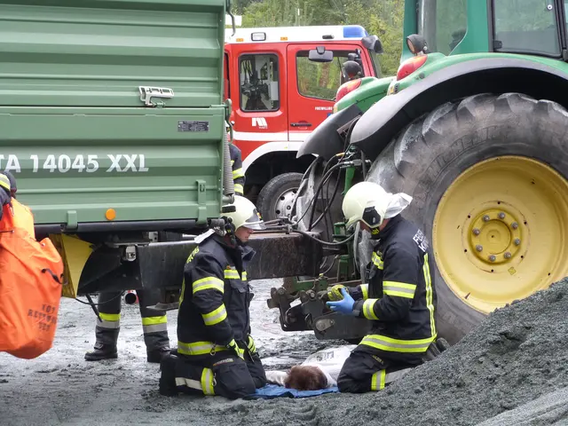 Foto: Vanessa Wittmann