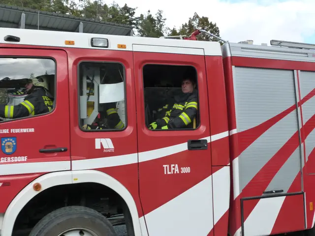 Foto: Vanessa Wittmann