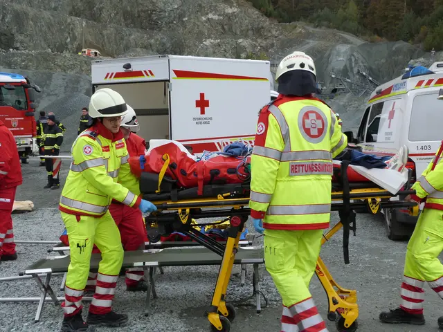 Foto: Vanessa Wittmann