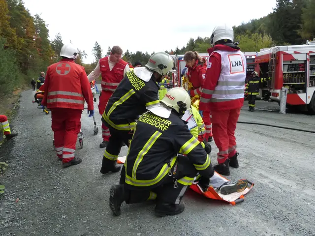 Foto: Vanessa Wittmann