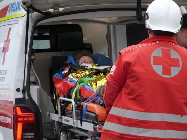 Foto: Vanessa Wittmann