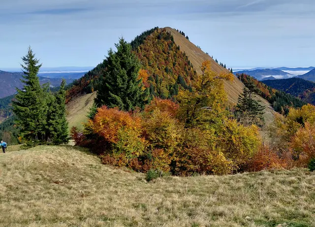 Blick von der Loibersbacherhöhe auf den Faistenauer Schafberg  | Foto: H.Bachinger