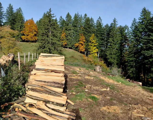 Vorbei an der Mittereggalm | Foto: H.Bachinger