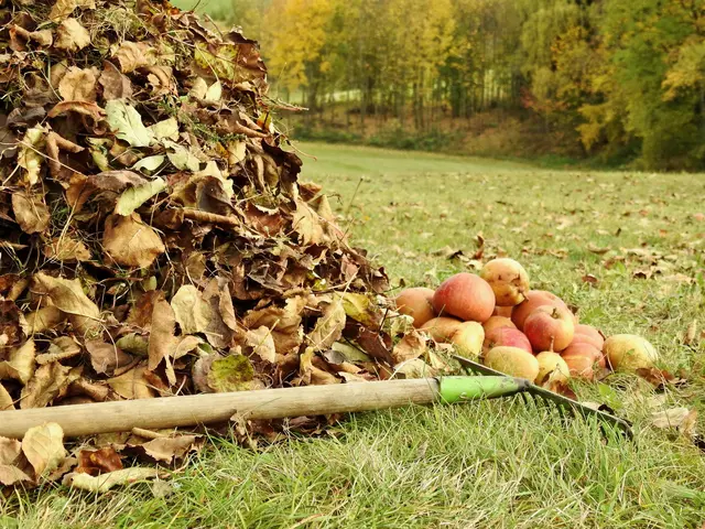 Ein Laubhaufen im Garten bietet vielen Tieren einen Unterschlupf. © H. Kurz