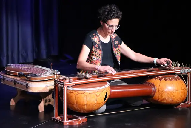 So schaut das Instrument Sagar Veena aus | Foto: Gerhard Langmann
