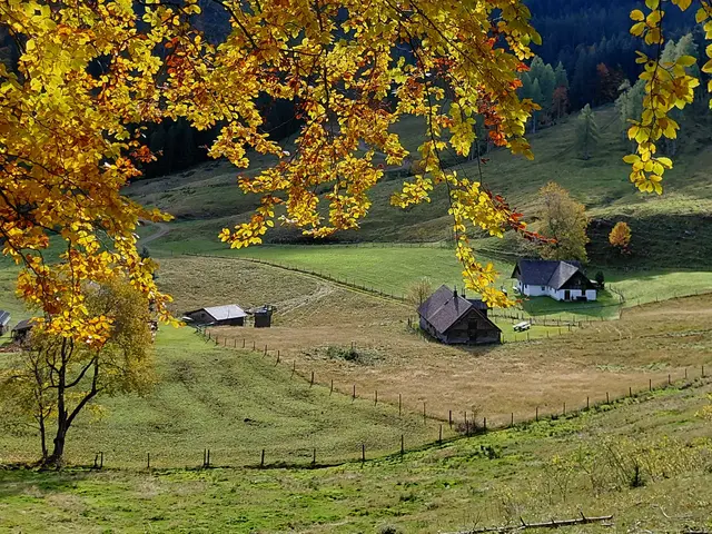 Blick auf die Mittereggalm  | Foto: H.Bachinger