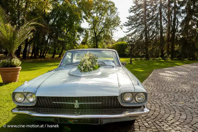 Foto: www.cine-motion.at / Ivanek