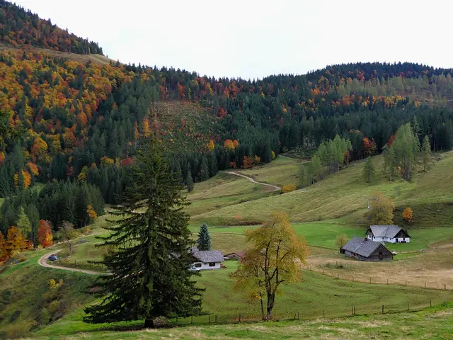 Mittereggalm  | Foto: H.Bachinger