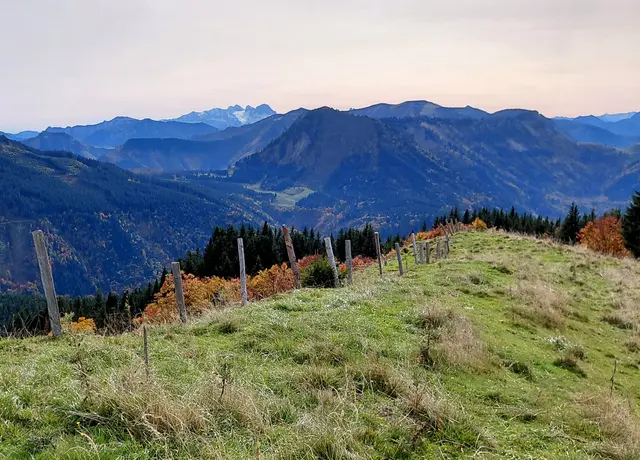 Am Horizont der Dachsteingletscher  | Foto: H.Bachinger
