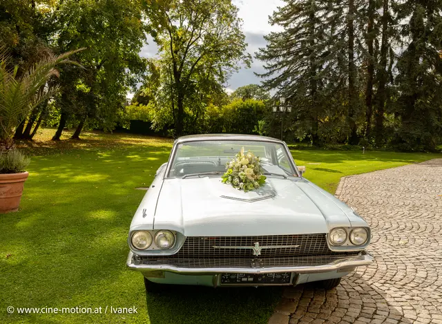 Foto: www.cine-motion.at / Ivanek