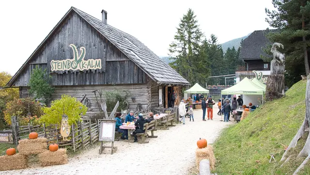 Foto: Norbert Ortner