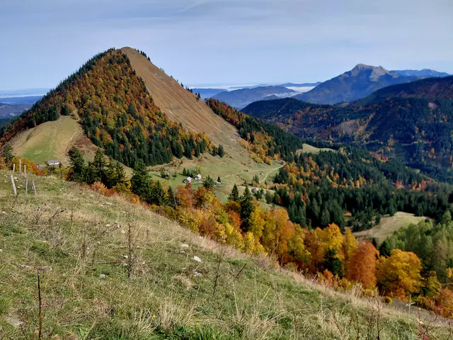 Rechts Blick auf den Schafberg  | Foto: H.Bachinger