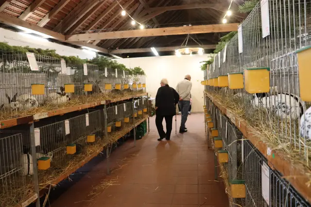 Foto: Alejandra Ortiz