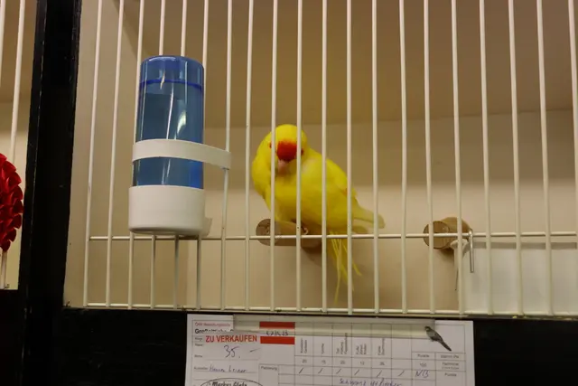 Foto: Alejandra Ortiz