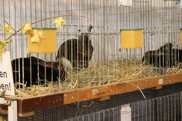 Foto: Alejandra Ortiz