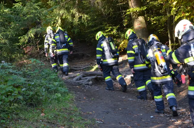 Keine leichte Aufgabe: der Aufstieg zum Gipfelkreuz | Foto: FF Preding