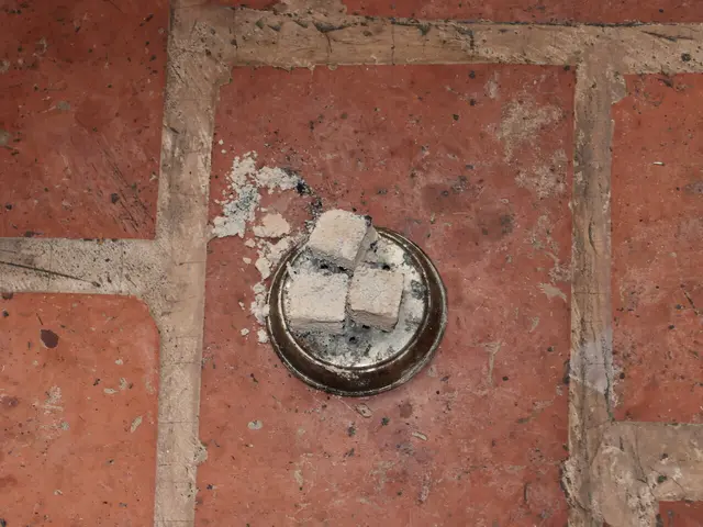 Glühende Kohleanzünder einer Shisha-Pfeife hatten das giftige Kohlenmonoxid freigesetzt. | Foto: Markus Hackl, SB ÖA