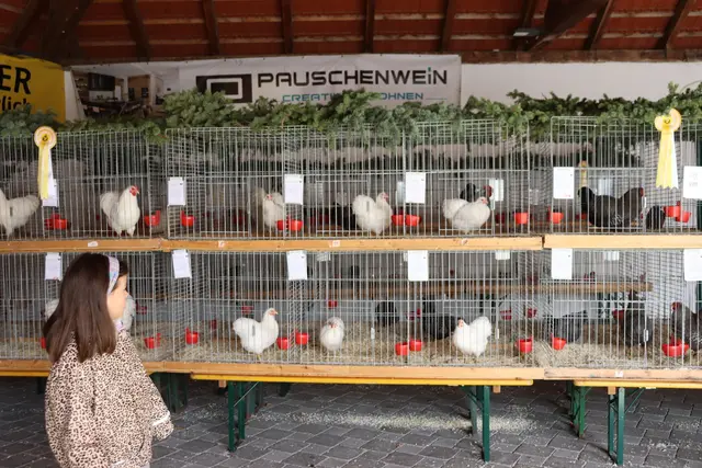 Foto: Alejandra Ortiz