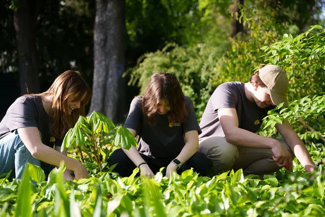 Österreichweit werden von 22. Bis 25. Oktober 2025 Jugendliche in verschiedenen Projekten tätig sein.  | Foto: Katholische Jugend 