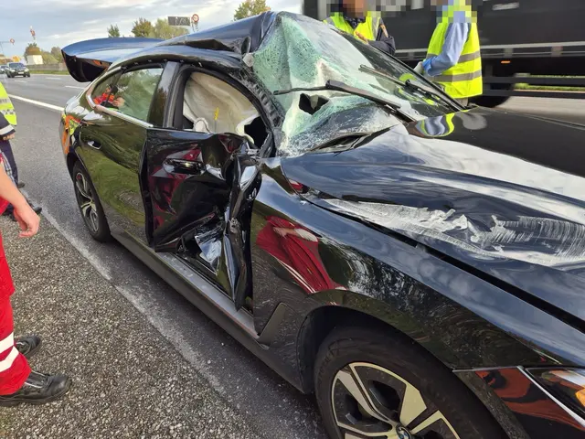 Unfall auf der Autobahn bei Haag. | Foto: DOKU-NÖ