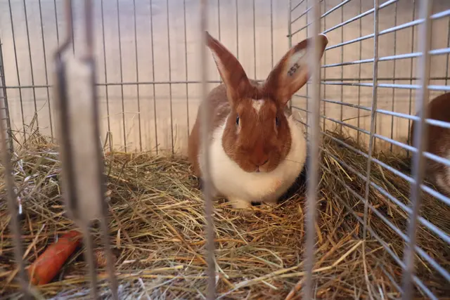 Foto: Alejandra Ortiz