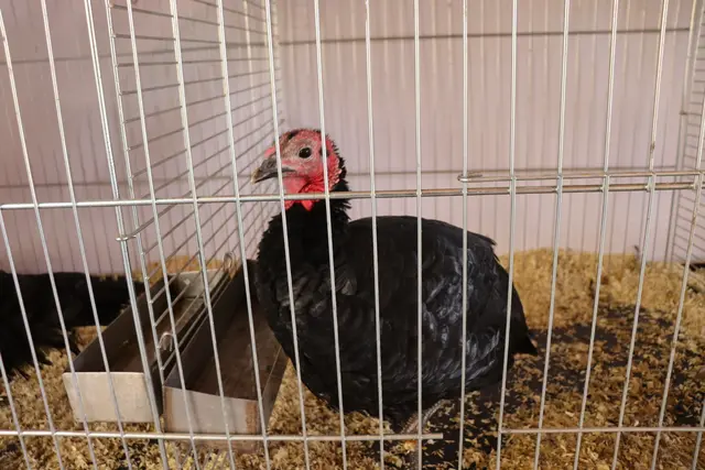 Foto: Alejandra Ortiz