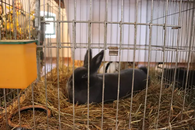 Foto: Alejandra Ortiz