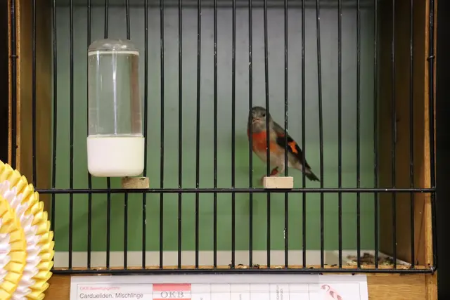 Foto: Alejandra Ortiz