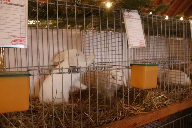 Foto: Alejandra Ortiz