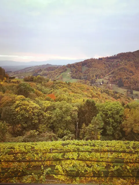 Foto: runningLeibnitz