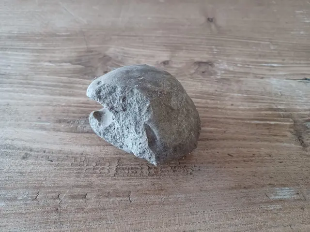 Foto: MeinBezirk/Anna Triebaumer