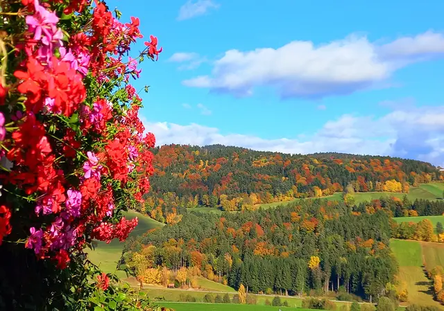 Am Montag und Dienstag zeigt sich in weiten Teilen Österreichs noch häufig die Sonne bei milden Temperaturen bis 19 Grad. | Foto: Sabine L