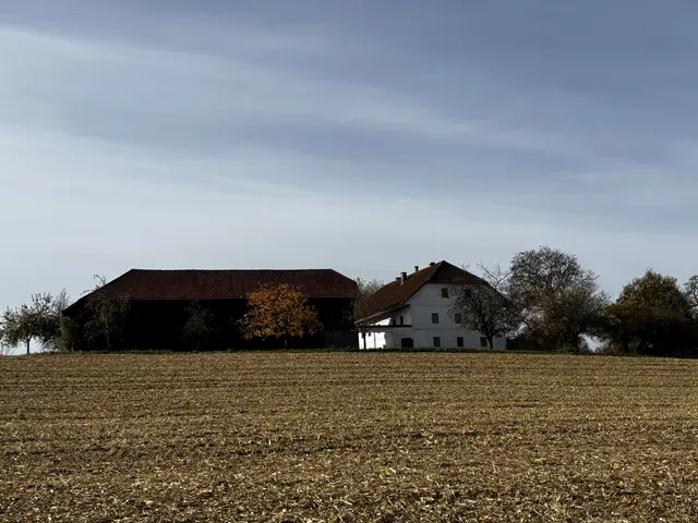 Die Wirkungsstätte von Mary Fernety und Christoph Herndler in Gaspoltshofen | Foto: MeinBezirk/Constance Haslberger