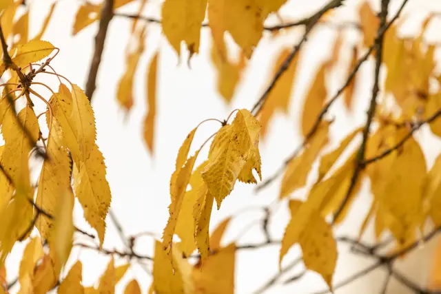 Foto: FBF-Fabian Bleier Fotografie