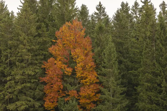 Foto: FBF-Fabian Bleier Fotografie