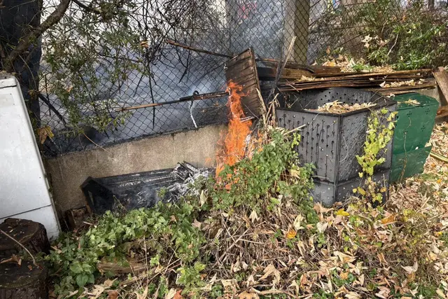 Ein Komposthaufen hatte Feuer gefangen und drohte, sich auf das umliegende Gestrüpp auszubreiten.  | Foto: FF Hall