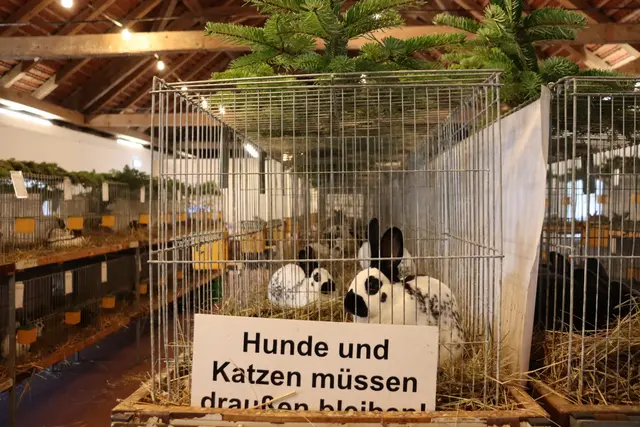 Foto: Alejandra Ortiz