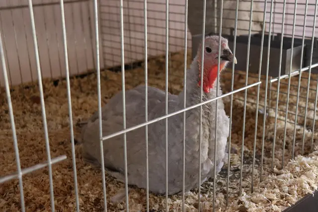 Foto: Alejandra Ortiz