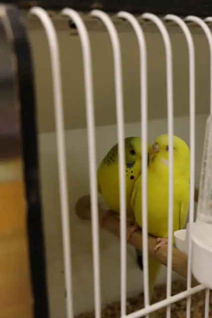 Foto: Alejandra Ortiz