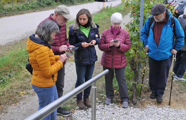 Foto: mamaraZZa photo