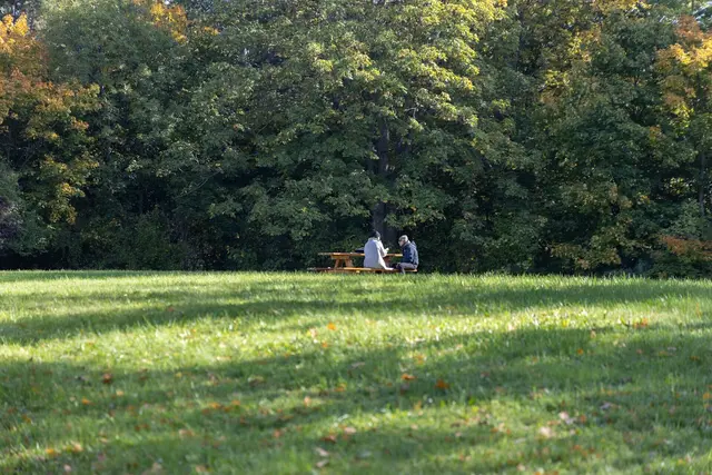 Die rund 608.000 Quadratmeter große Parkanlage entstand vor 51 Jahren auf dem Areal der Wiener Internationalen Gartenschau 1974. | Foto: René Brunhölzl/MeinBezirk
