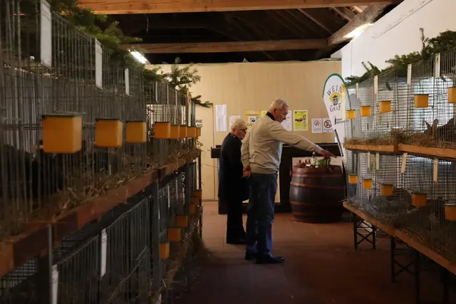 Foto: Alejandra Ortiz