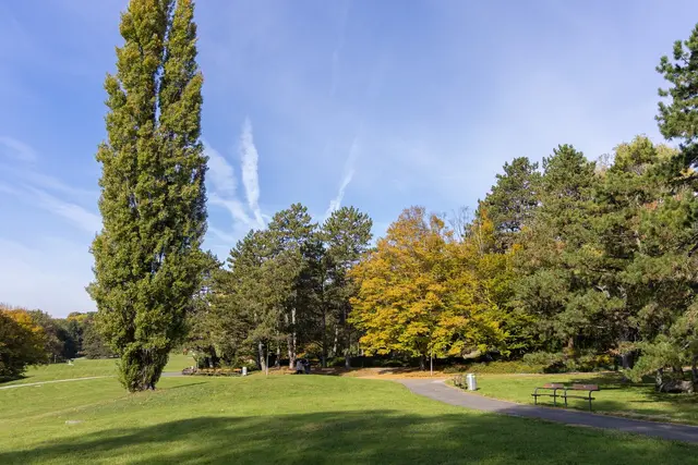 Postkartenwetter: MeinBezirk besuchte zuletzt den Kurpark Oberlaa. | Foto: René Brunhölzl/MeinBezirk