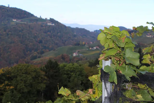 Foto: runningLeibnitz