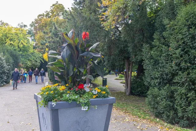 Foto: René Brunhölzl/MeinBezirk