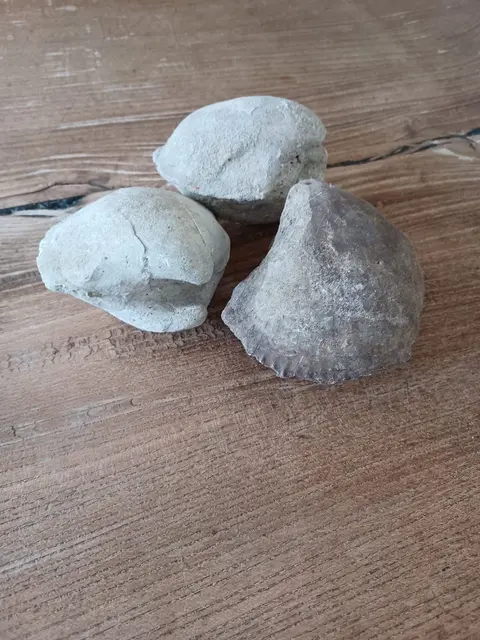 Foto: MeinBezirk/Anna Triebaumer